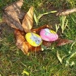 chasse_aux_oeufs-93e74