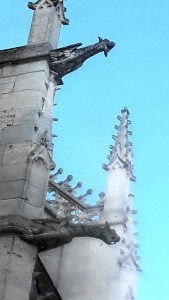 Observation des gargouilles sur l'église St Maclou.